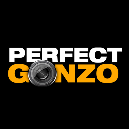Perfect Gonzo